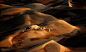 大漠驼铃11月23日，阿联酋，一支骆驼队在利瓦沙漠中行进。享有“沙漠之舟”和“沙海之王”美誉的骆驼，是沙漠中的主宰，也是缺水的阿拉伯国家主要交通工具。 摄影：KARIM SAHIB/AFP
71/106