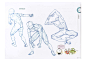RockHe Kim s Anatomy Drawing Class汉化_页面_026