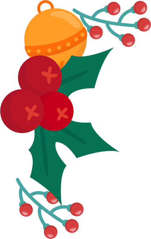 圣诞花