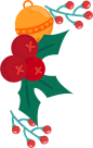 圣诞花