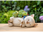 创意可爱猫咪大花盆文创个性卡通动物多肉植物拼盘盆栽趣味微景观-淘宝网