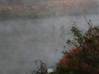 晨雾弥漫的乡景