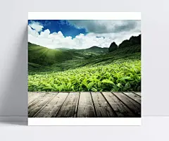 茶园图片|茶园,叶海报,茶叶,天空,茶叶素材,茶叶包装,茶叶模板,茶叶挂图,茶叶文化,茶叶展架,茶叶展板,茶叶名片,茶叶人物,茶叶广告,茶叶茶馆,绿茶茶叶,铁观音茶叶,碧螺春茶叶,西湖龙井茶叶,龙井茶叶,茶叶设计,名茶叶,茶叶茶园,茶叶采摘,茶叶工序,天然茶园,古代茶叶,中国茶叶,食茶养生,茶文化展板,设计,广告设计,海报设计,300DPI,PSD,茶园广告,茶园风景,茶园宣传,生态茶园,茶园风光,高清茶园,金色