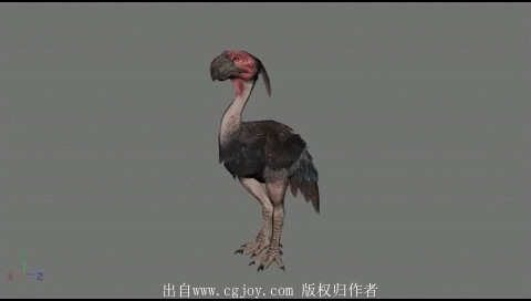 陆行鸟 六腿蜥蜴 手持鞭子带翅膀炎魔的攻...