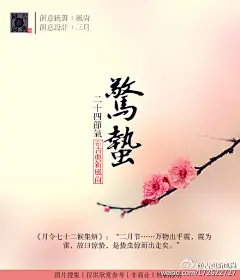 古典新风尚的照片 - 微相册