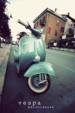 47蝾螈采集到vespa