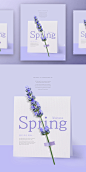 春季春天韩式唯美小清新海报PSD模板Korean spring air beauty poster PSD template Vol.17 - 春季春天韩式唯美小清新海报PSD模板Korean spring air beauty poster PSD template (1.jpg