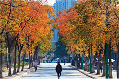 一而再再而三˙ϖ˙采集到B 街道、道路