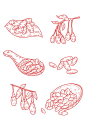 枸杞手绘线描装饰免抠-众图网