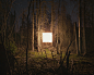 Alternatives Landscapes : Alternative landscapesCette série photo a germé dans ma tête durant les vacances de Noël. Je me suis imaginé installer des décorations lumineuses dans des endroits incongrus. J’ai amorcé des tests avec un filet de 100 lumières de