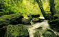163363-river-forest-rocks-nature