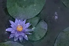 二十四节气古风插画_百度图片搜索