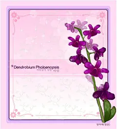 手绘兰花插画素材