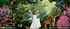 奇幻森林 梦幻仙境 唯美梦幻童话 儿童城堡 儿童乐园 可爱性感美女 儿童写真模板 森林系婚礼 松鼠 狐狸 蝴蝶小精灵 蘑菇 森林童话 宽屏高清壁纸 油画风格壁纸 梦幻写真背景 拍照背景板 电视背景墙 影楼儿童写真 绚丽蝴蝶翅膀 光晕直射 光点斑斓 七彩飞鸟 梦幻城堡 飞马 梅花鹿 桃树 桃花 儿童写真