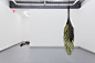 15-Ryan_InstallView_6