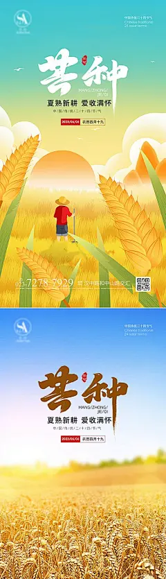 【素材能量站】海报 地产 芒种 麦穗 二十四节气 简约|1009514 