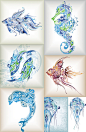 花纹海洋生物