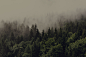 wallhaven-662612