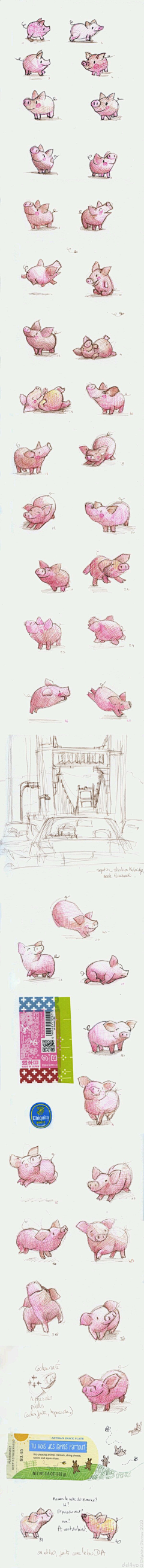 我是小柯基_采集到插画