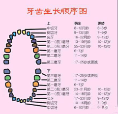 DesignerX采集到百科