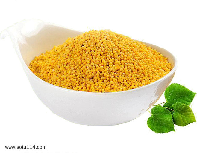 黄金小米五谷粮食