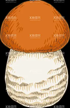 菌类插画图片   - 源文件下载【酷图网】菌类,菌菇,蘑菇,香菇,香菇包装,菌菇包装,茶树菇,香菇插画,香菇线描,山珍包装素材,平菇,手绘香菇,白玉菇,矢量香菇插画,