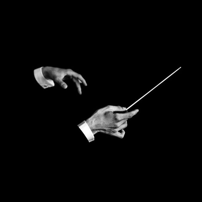 "Maestro " by Benoit...