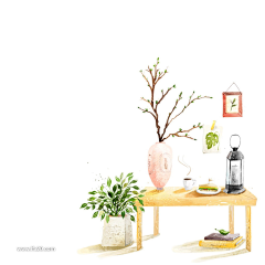 lorine·采集到植物插画