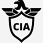 美国中央情报局的盾牌象征鹰图标 页面网页 平面电商 创意素材