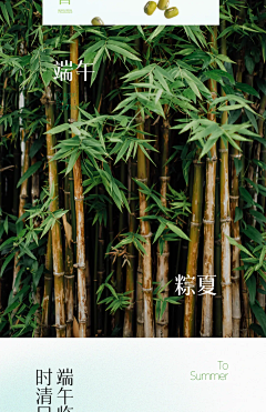 CHA耳耳采集到长图文排版