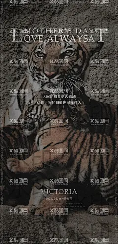 酒吧母亲节海报  - 源文件下载【酷图网】酒吧,夜店,母亲节,虎,猛虎护崽,虎爱,母爱