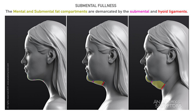 anatomy-for-sculptor...