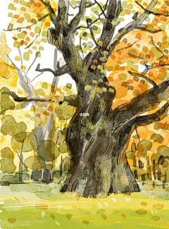 乐乐很乐啊采集到tree