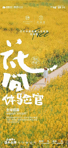 陶陶谷采集到文旅