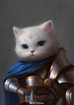 海参汤面采集到猫