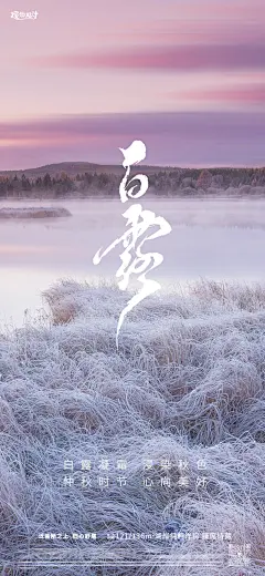 白露节气海报-设计素材-shejisc.cn