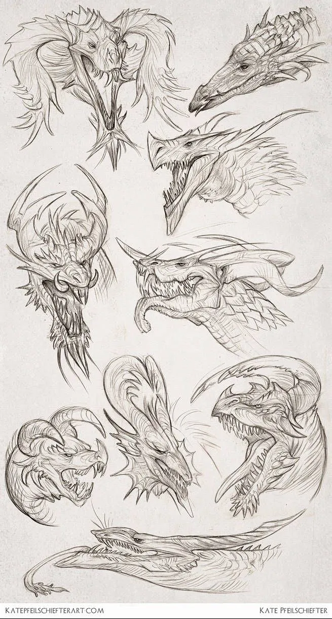 龙，dragon，龙头，龙翅膀，教程，龙绘画教程，西方龙，帅气，霸气，酷-花瓣网