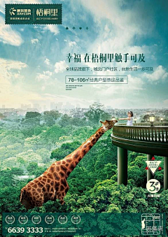 猫儿吃鱼采集到房地产