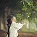 糯柒ぐ汐落