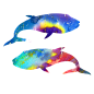 海洋 鲸鱼 PNG 水彩 星空 梦幻 唯美 小清新 手绘 水彩 手帐 插画 蓝鲸 炫彩 背景 免抠图PNG素材，更多素材尽在【点技能】