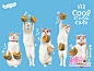日本广告新星——猫咪“NYARAN”