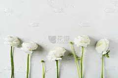 婚礼,背景,时尚,生日,白色,平铺,母亲节,复活节,贺卡,空的