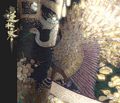 圈圈007采集到素材