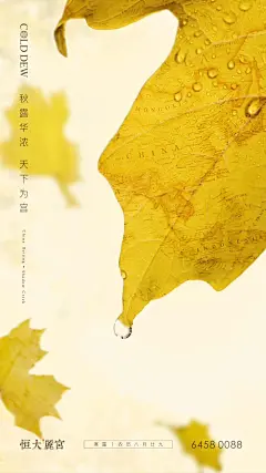 24节气-寒露