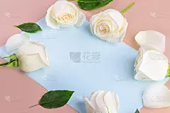 平躺鲜花组成你的字母。框架由白色玫瑰花在蓝色的背景。请柬贺卡。俯视图，文本复制空间，模拟。节日的概念
