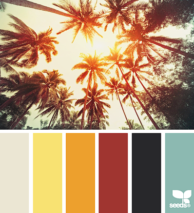 Design Seeds® | find...