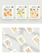 水果花茶包装设计·插画设计·花茶logo设计