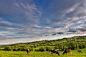 Grazing at sunset by Alan Hopps on 500px