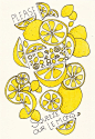 Please Squeeze Our Lemons on Behance#采集大赛#