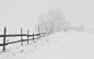 Wallpaper frost, blizzard, snow, snow, winter, frost, road, Blizzard, Nature, road, winter